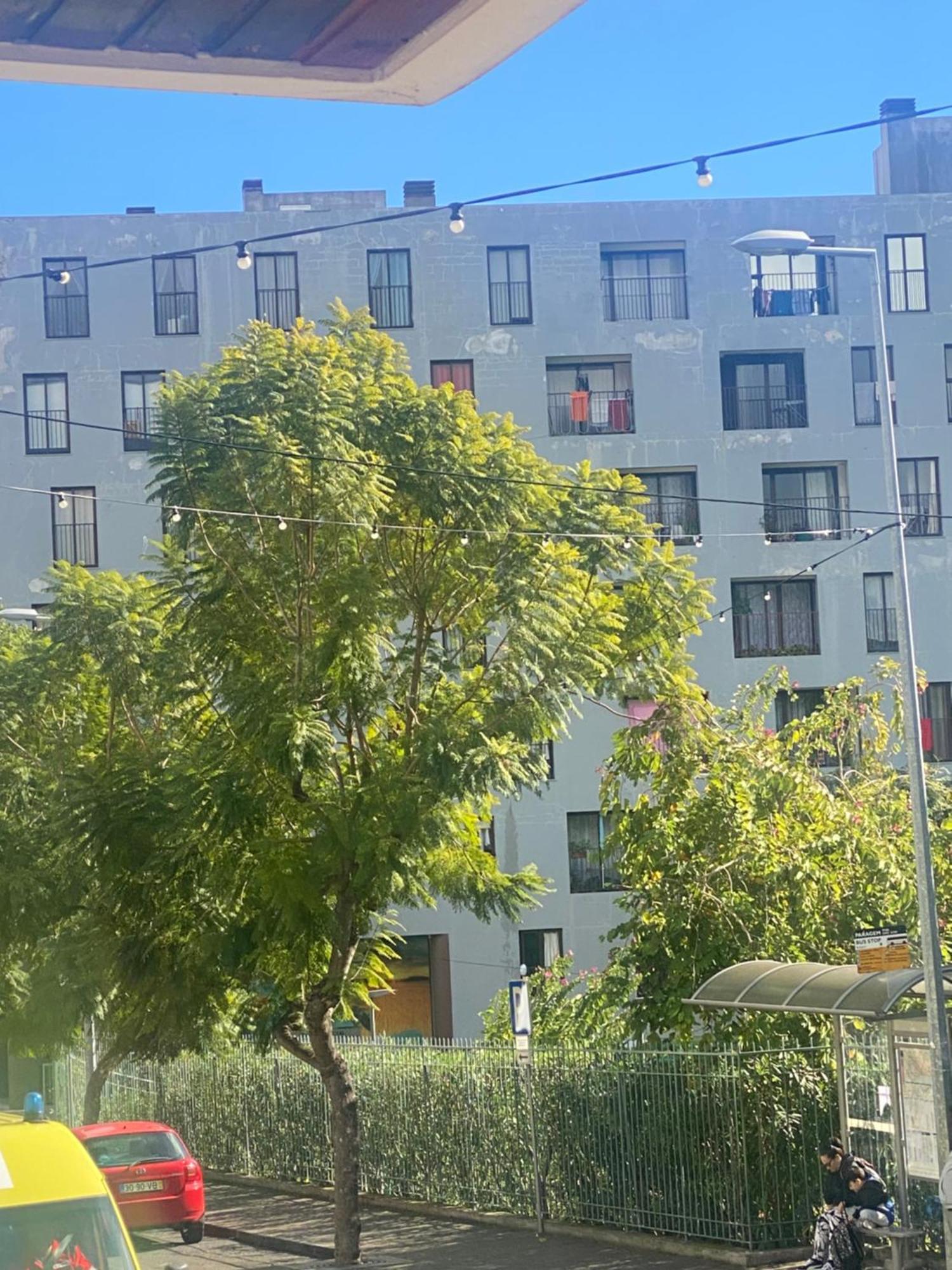 Funchal Varzea Park Daire Dış mekan fotoğraf